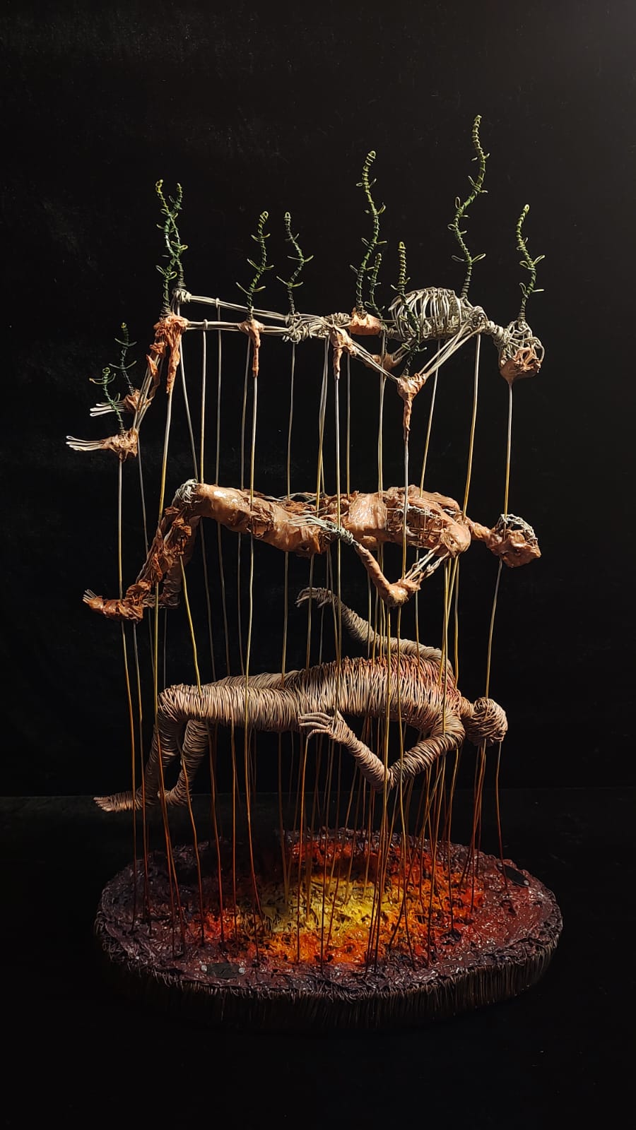 Transfiguración eterna