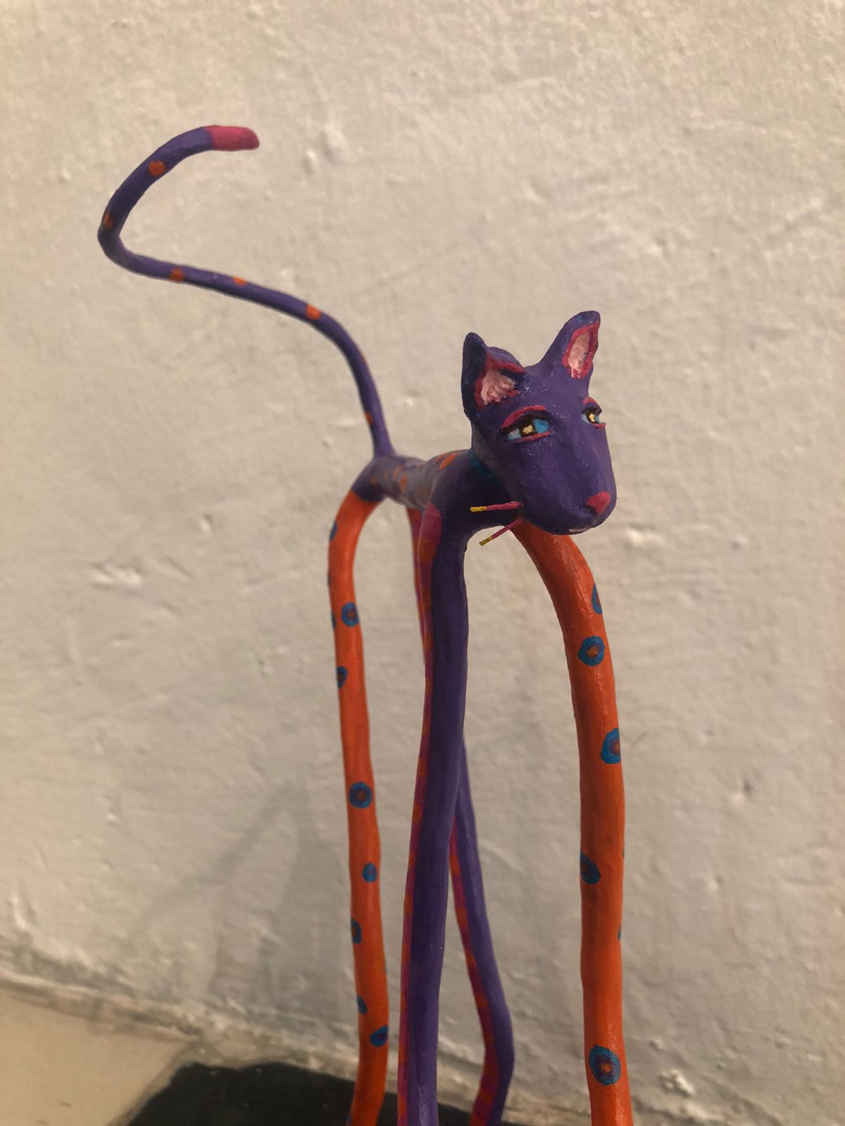 Gato morado