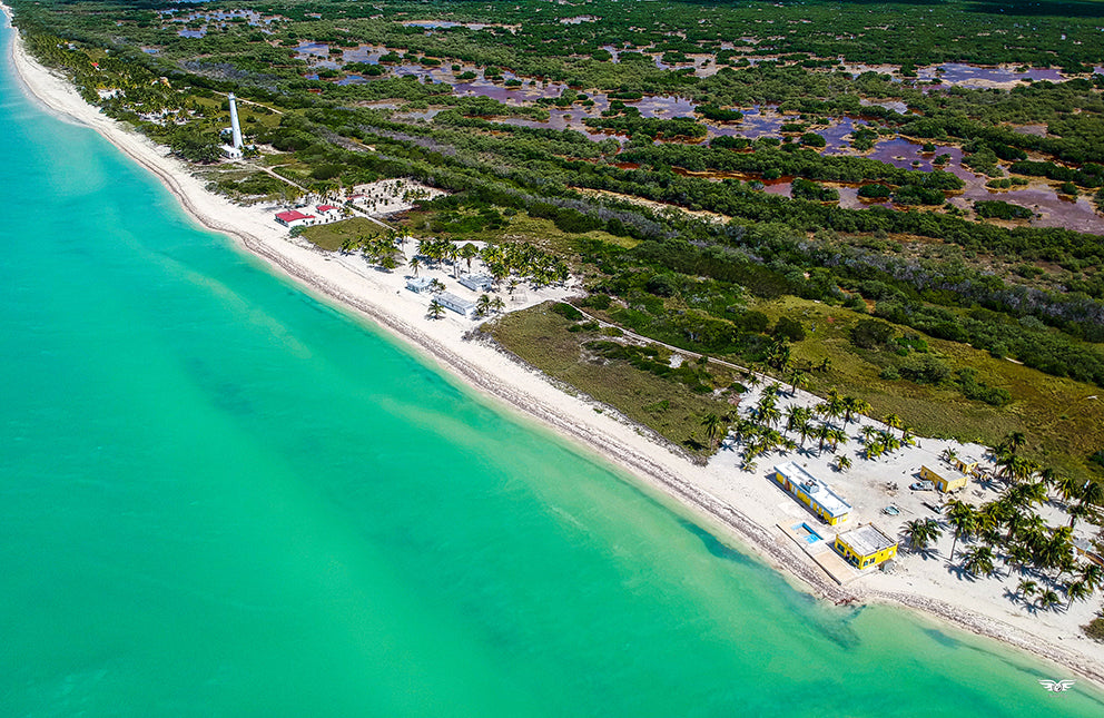 El palmar
